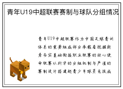 青年U19中超联赛赛制与球队分组情况
